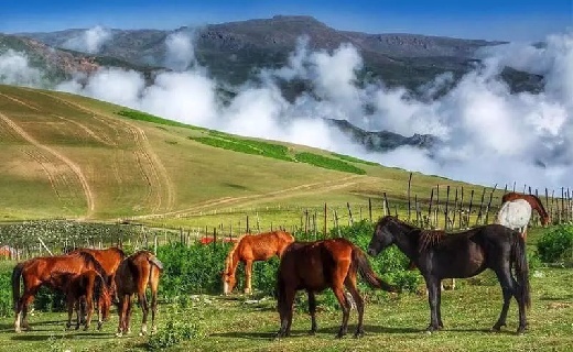 ییلاق سوباتان تالش
