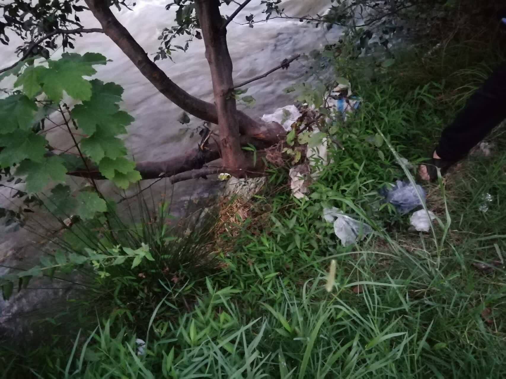 جمع آوری زباله توسط شهروندان در بابل کنار