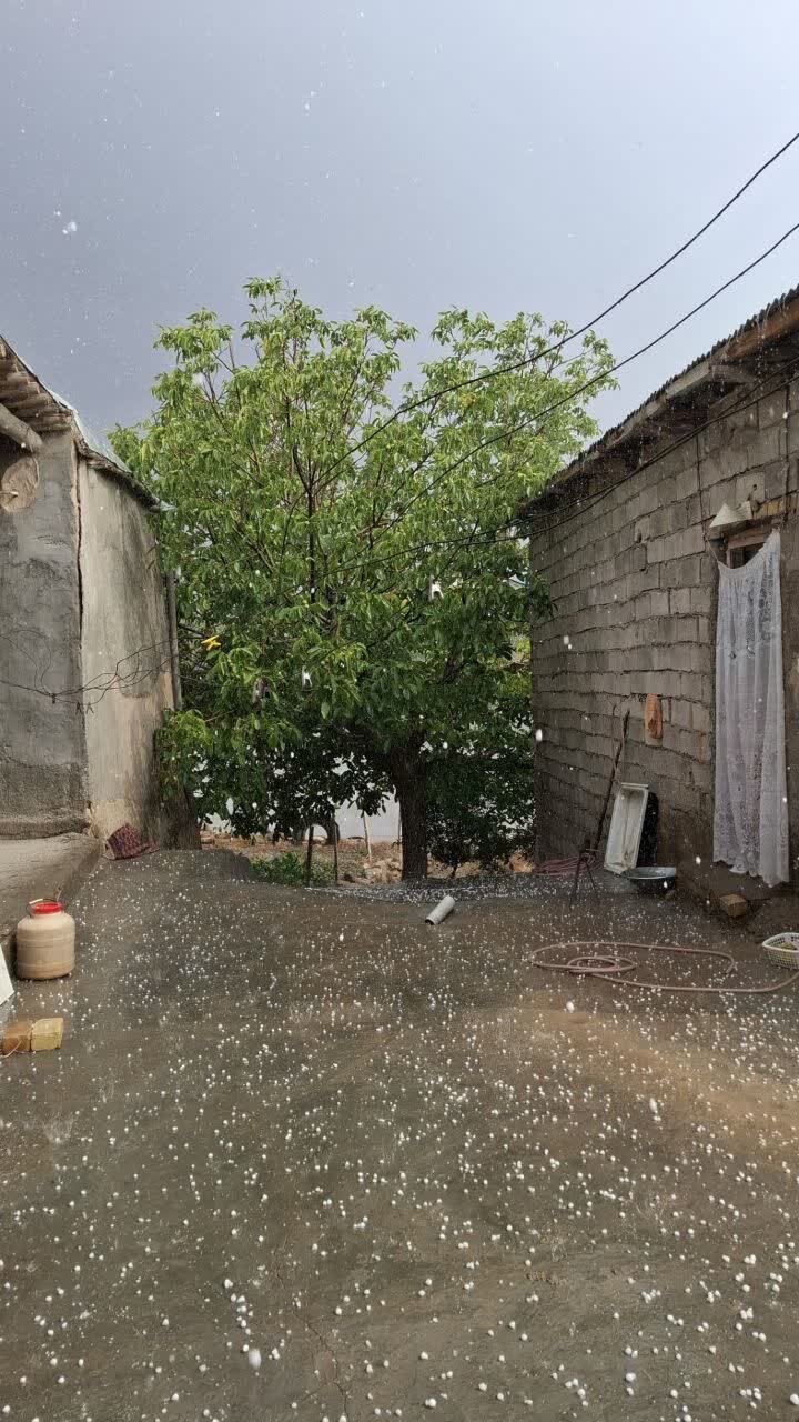انباشت دانههای تگرگ روی خودروها در قزوین